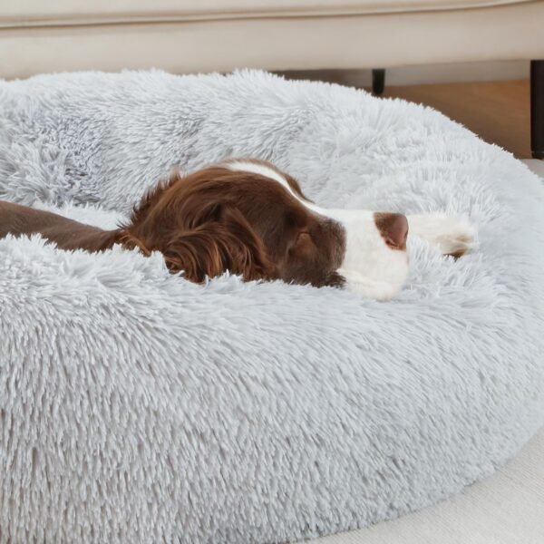 Soothing Dog Bed