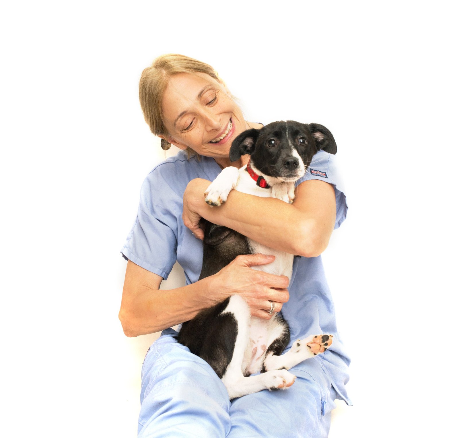 Pet 2